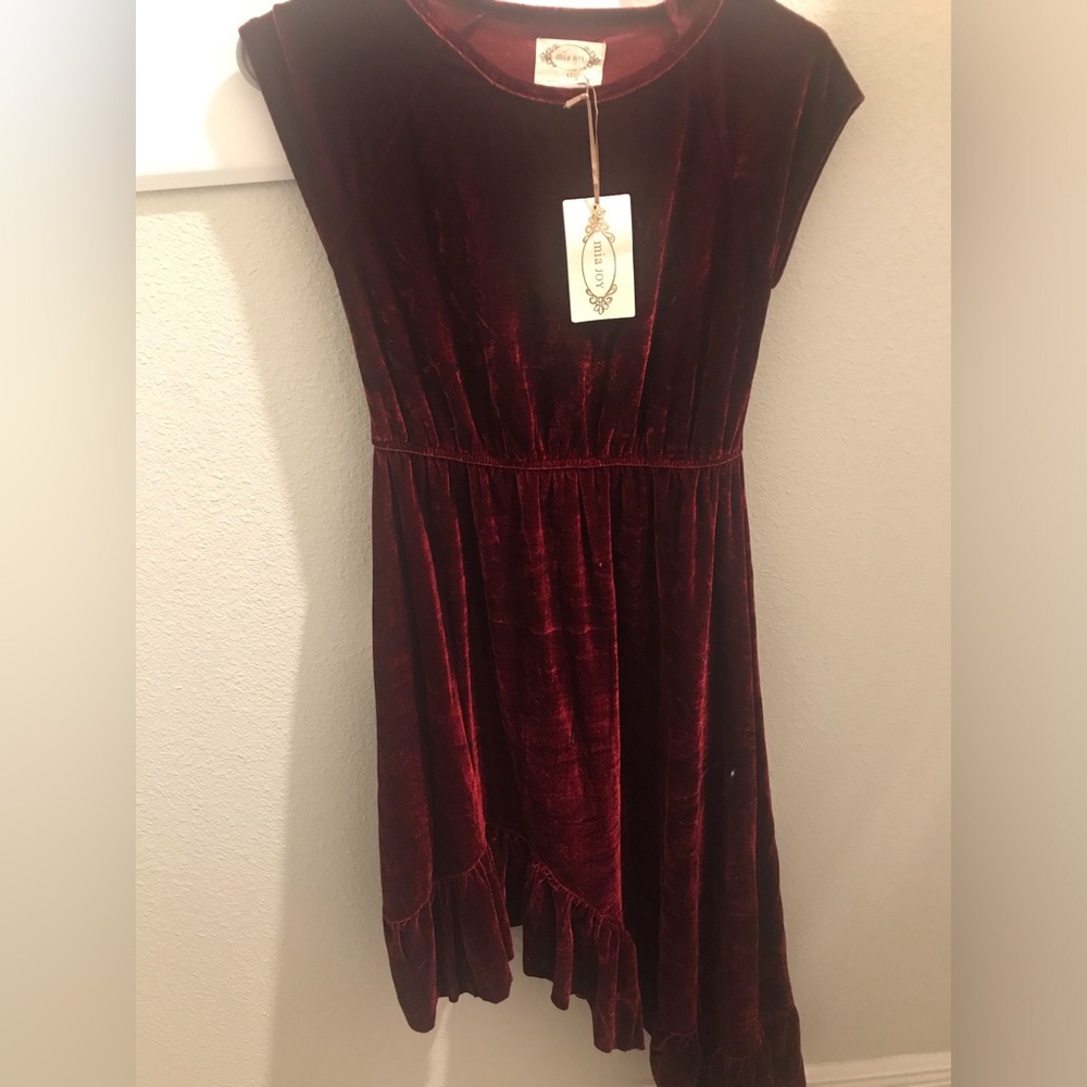 Joyfolie Women's Asymmetrical Velvet Dress in Wine Red